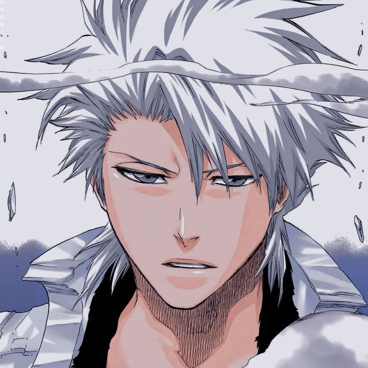 Hitsugaya Toshiro 17 Hitsugaya Toshiro 17