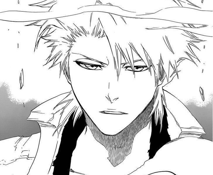Hitsugaya Toshiro 20