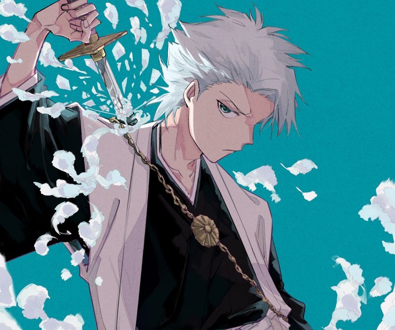Hitsugaya Toshiro 21