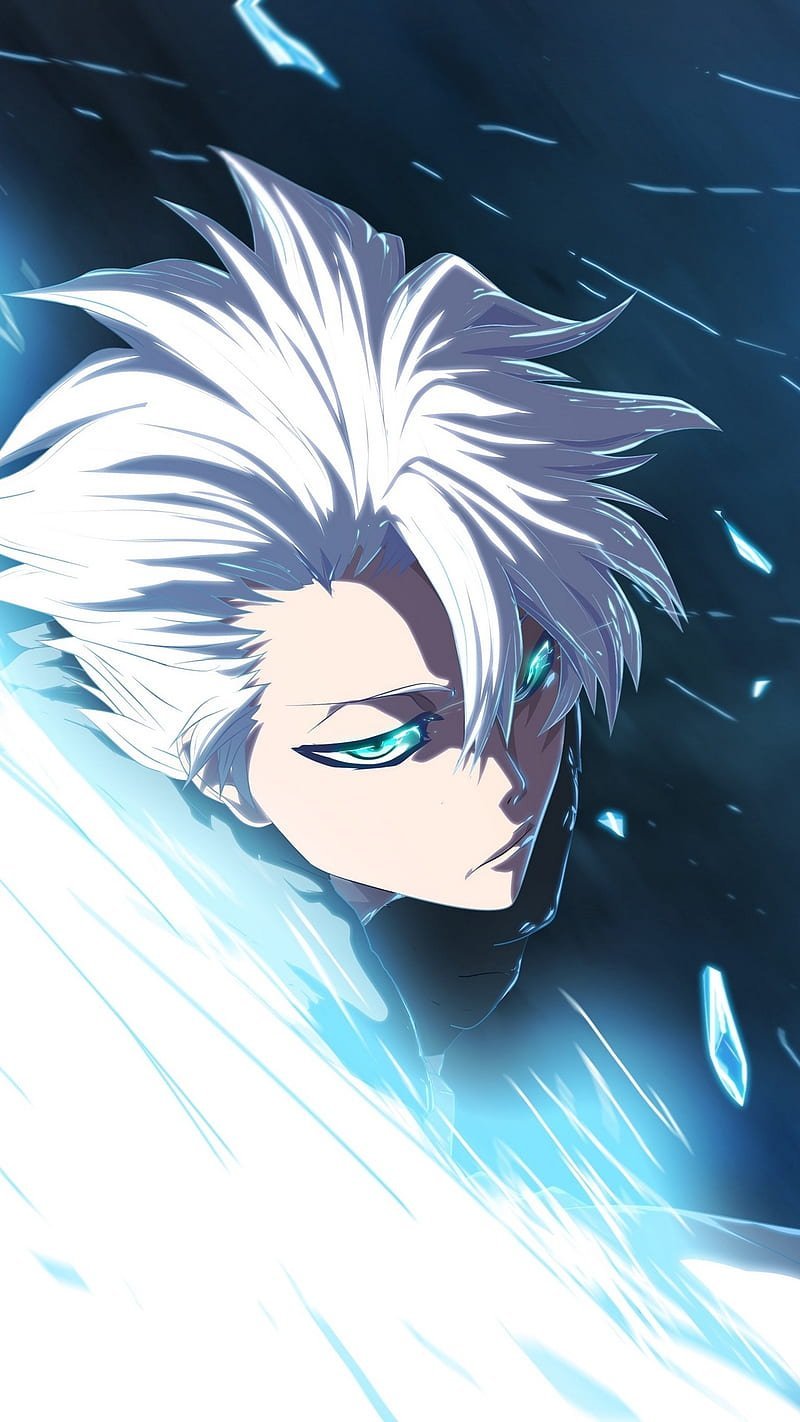 Hitsugaya Toshiro 22