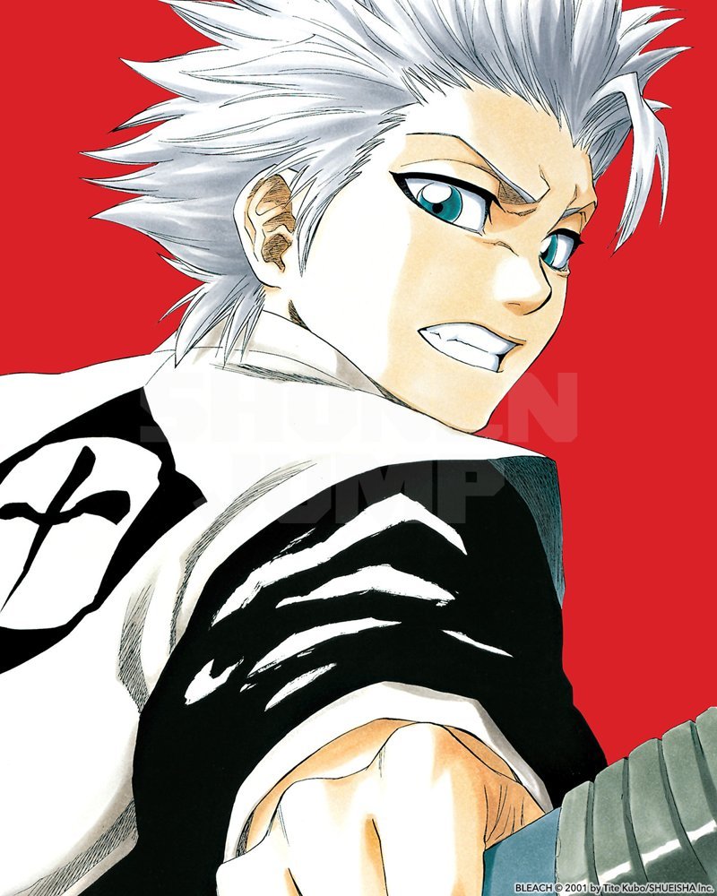 Hitsugaya Toshiro 27