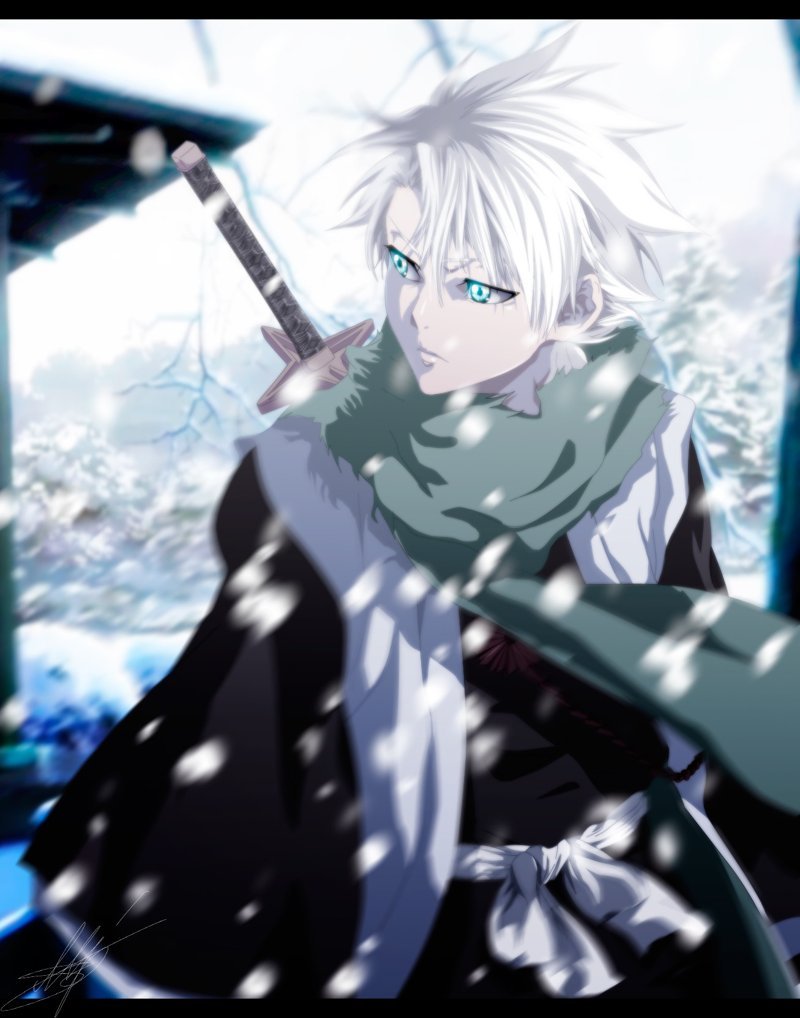 Hitsugaya Toshiro 29