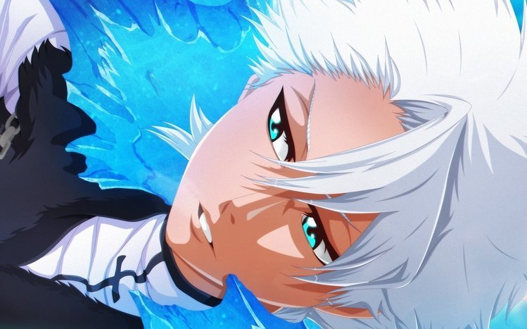 Hitsugaya Toshiro 56