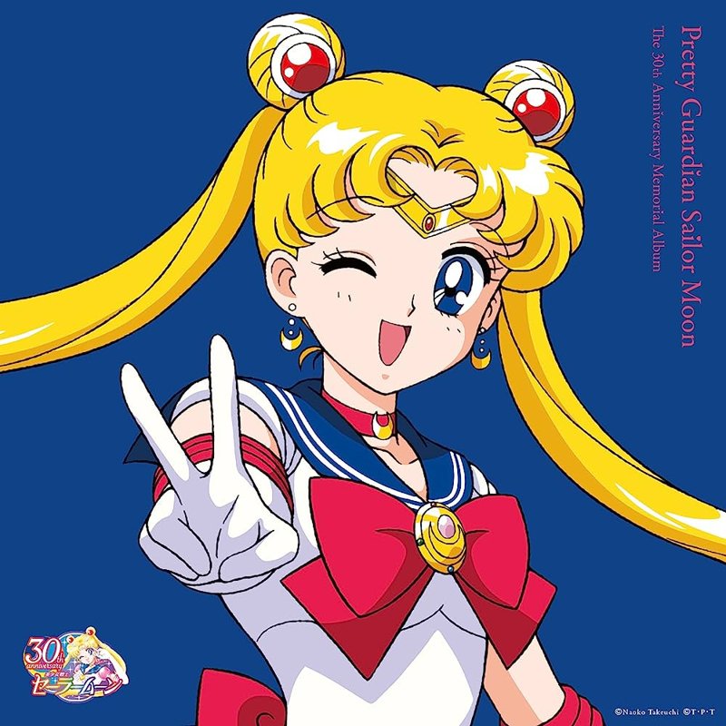 Sailor Moon 23