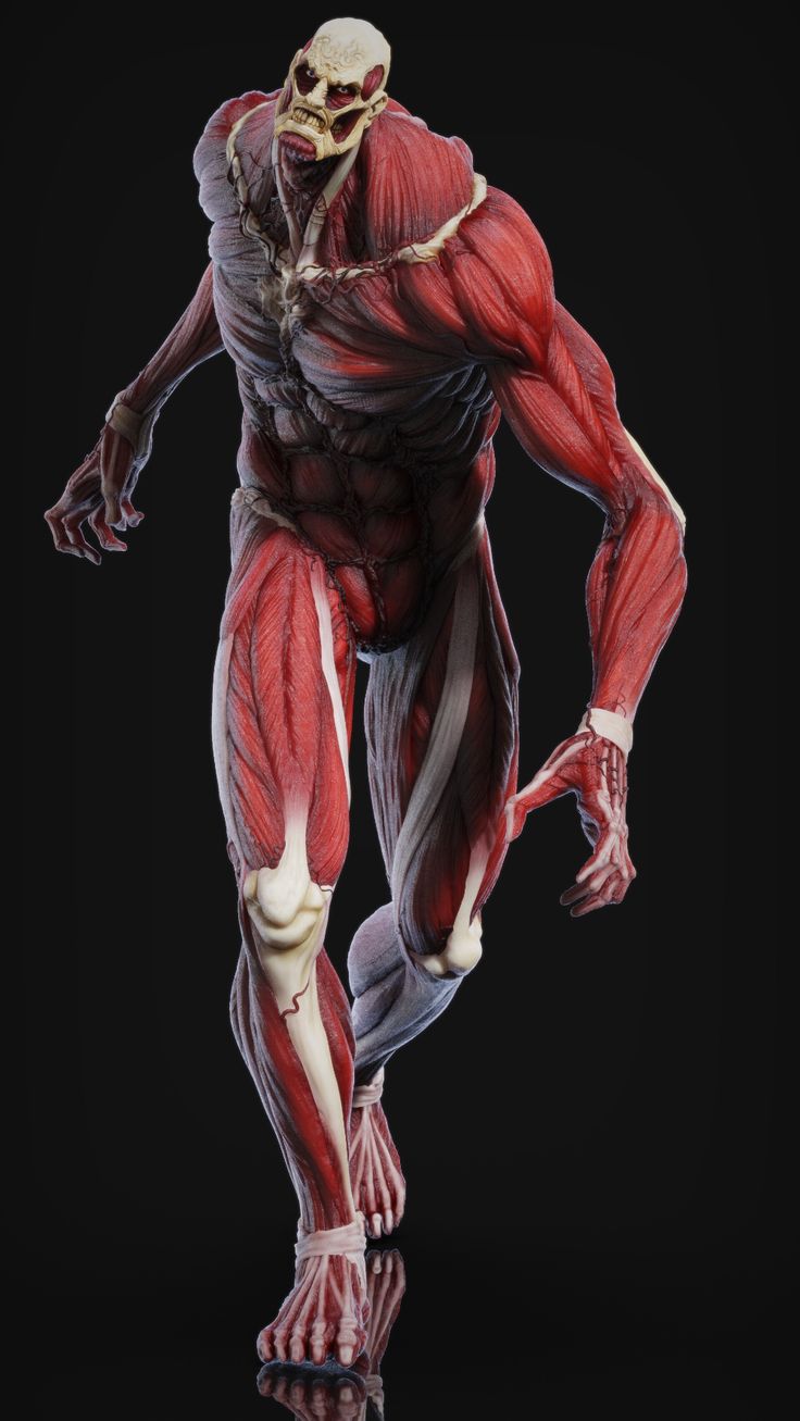 anh colossus titan