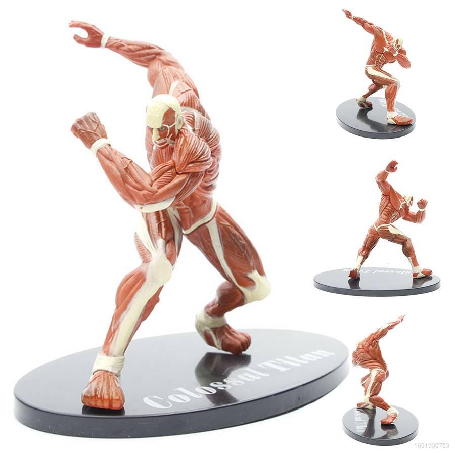 anh colossus titan