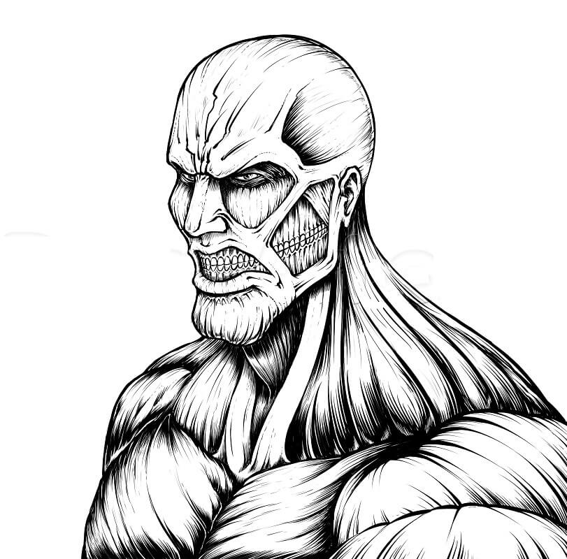 anh colossus titan
