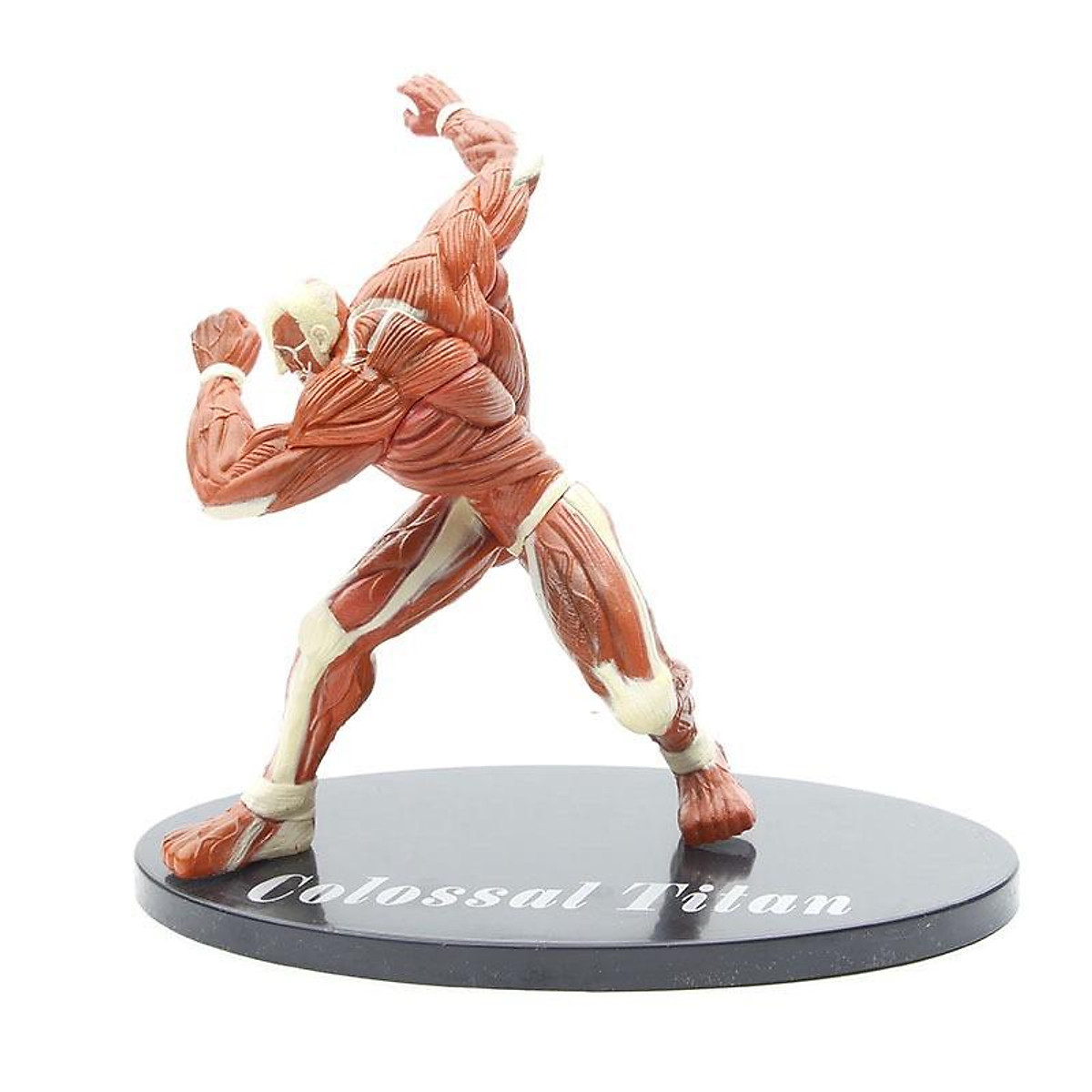 anh colossus titan