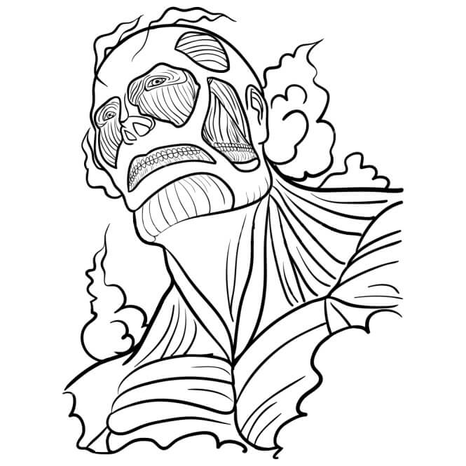 anh colossus titan