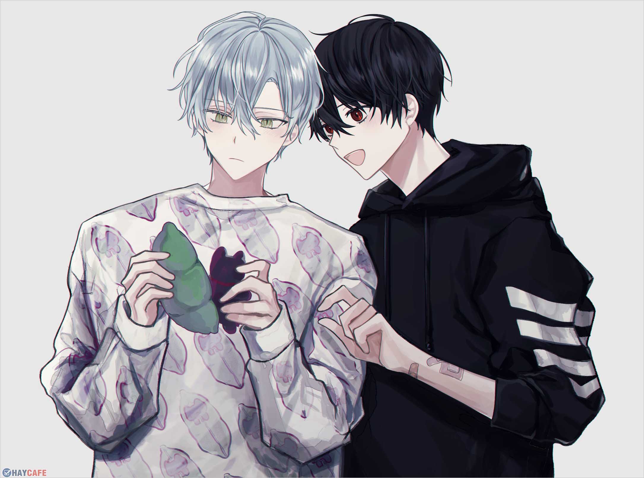 anh anime dam my