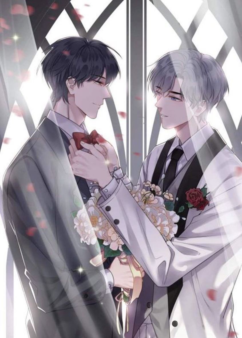anh anime dam my