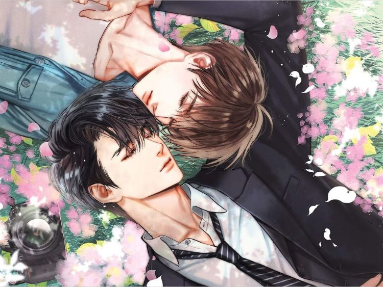 anh anime dam my