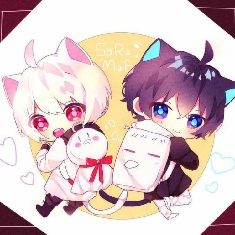 anh anime dam my
