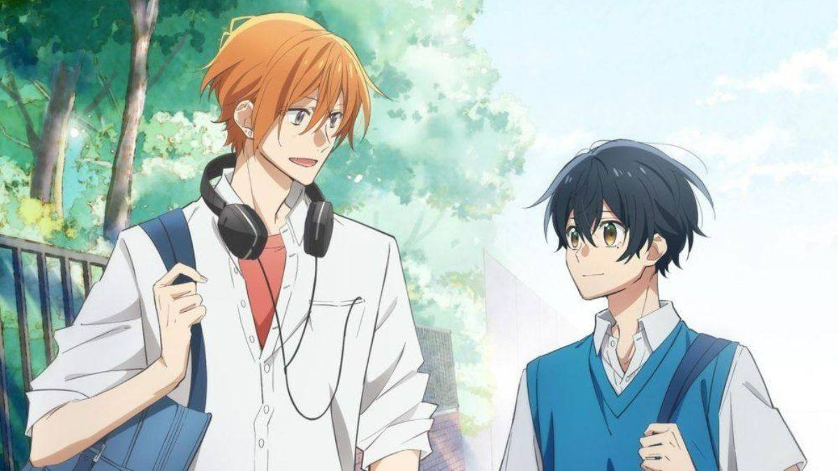 anh anime dam my