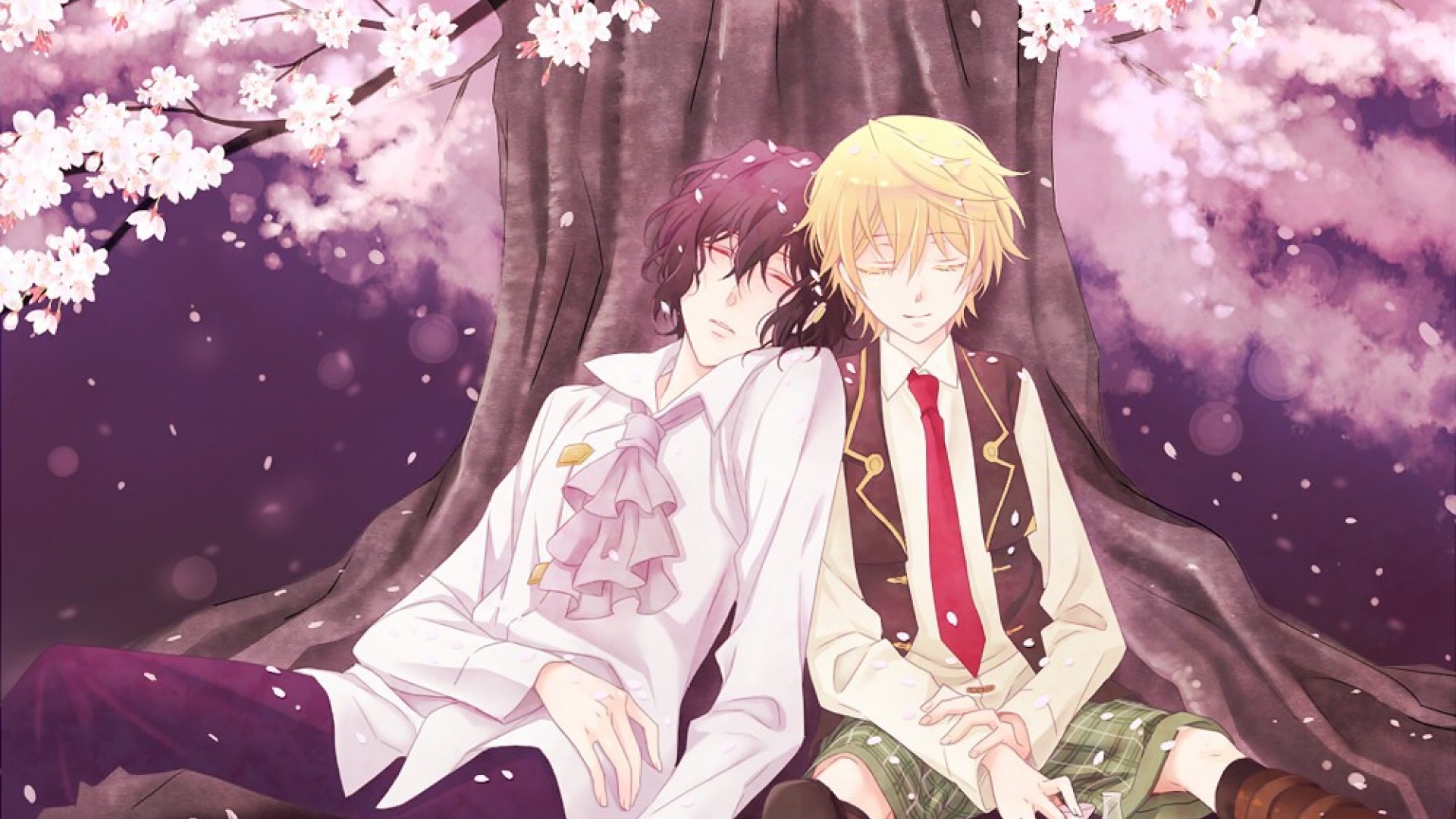 anh anime dam my