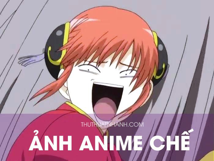 anh anime hai