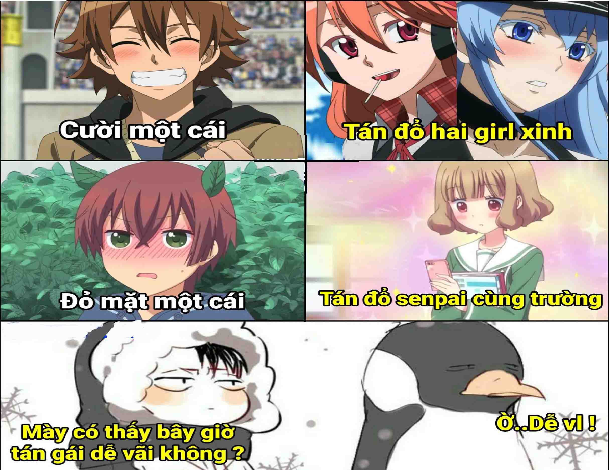 anh anime hai