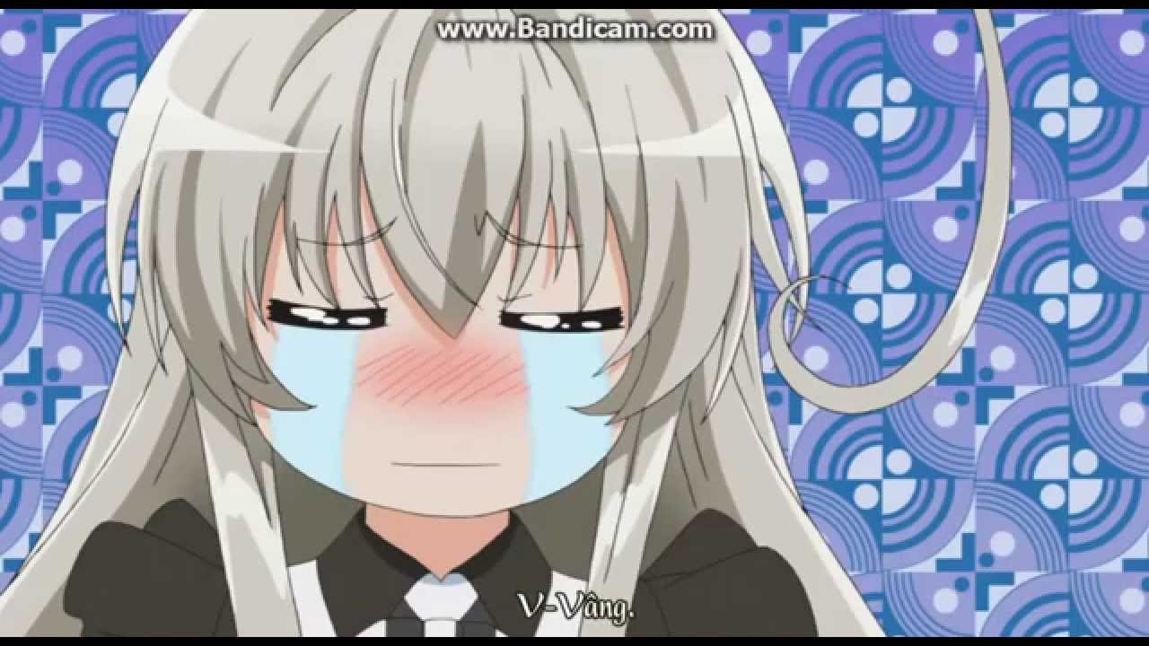 anh anime hai