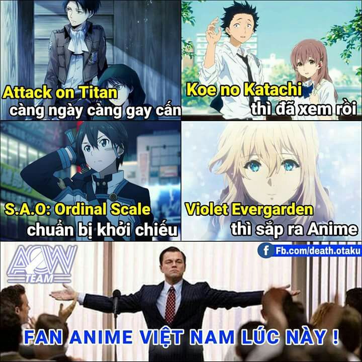 anh anime hai