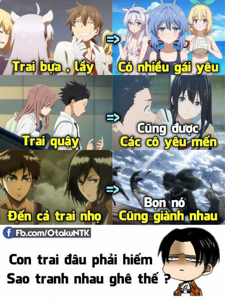 anh anime hai