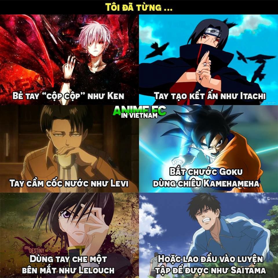 anh anime hai