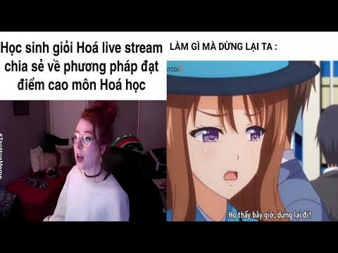 anh anime hai