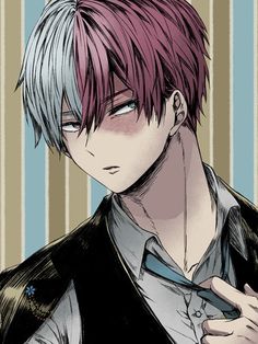 anh anime shoto todoroki