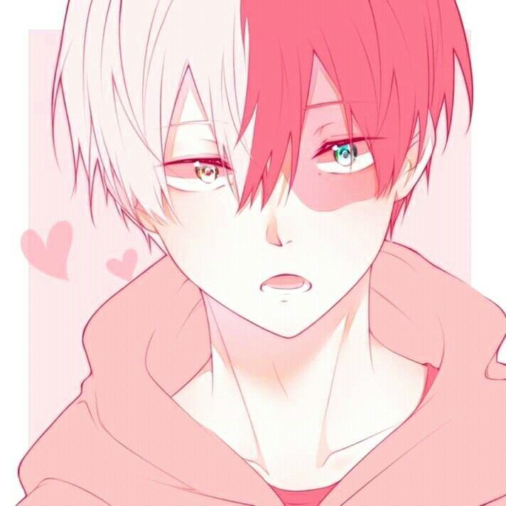 anh anime shoto todoroki