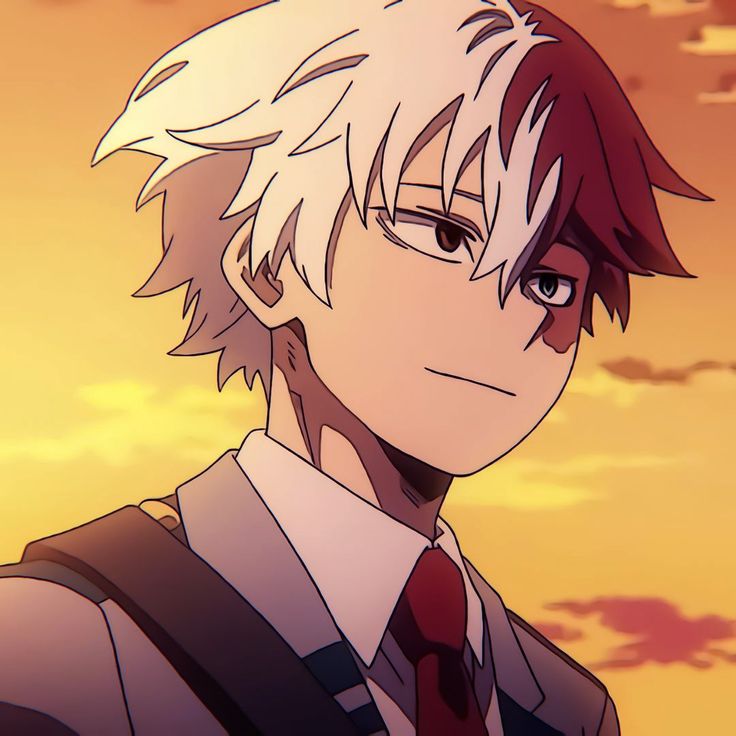 anh anime shoto todoroki