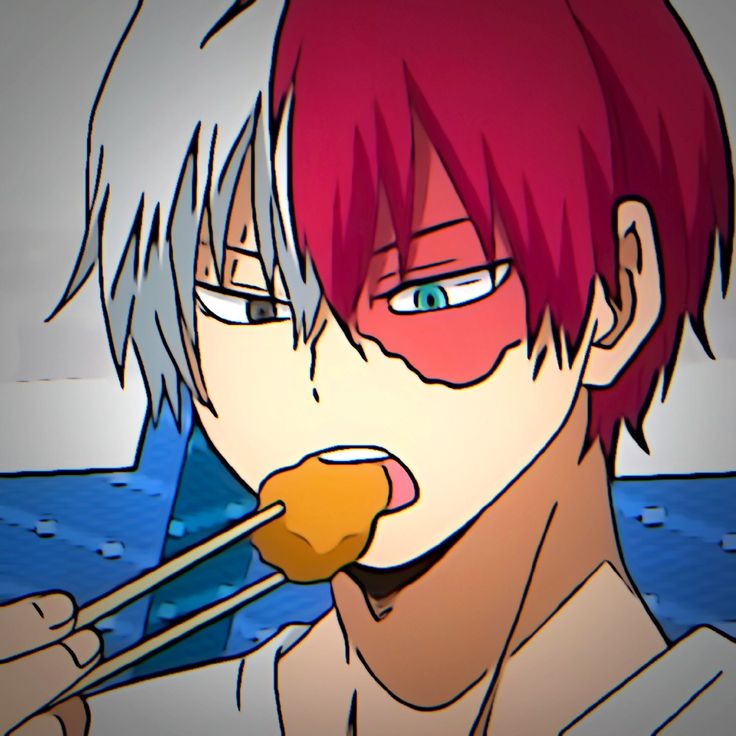anh anime shoto todoroki