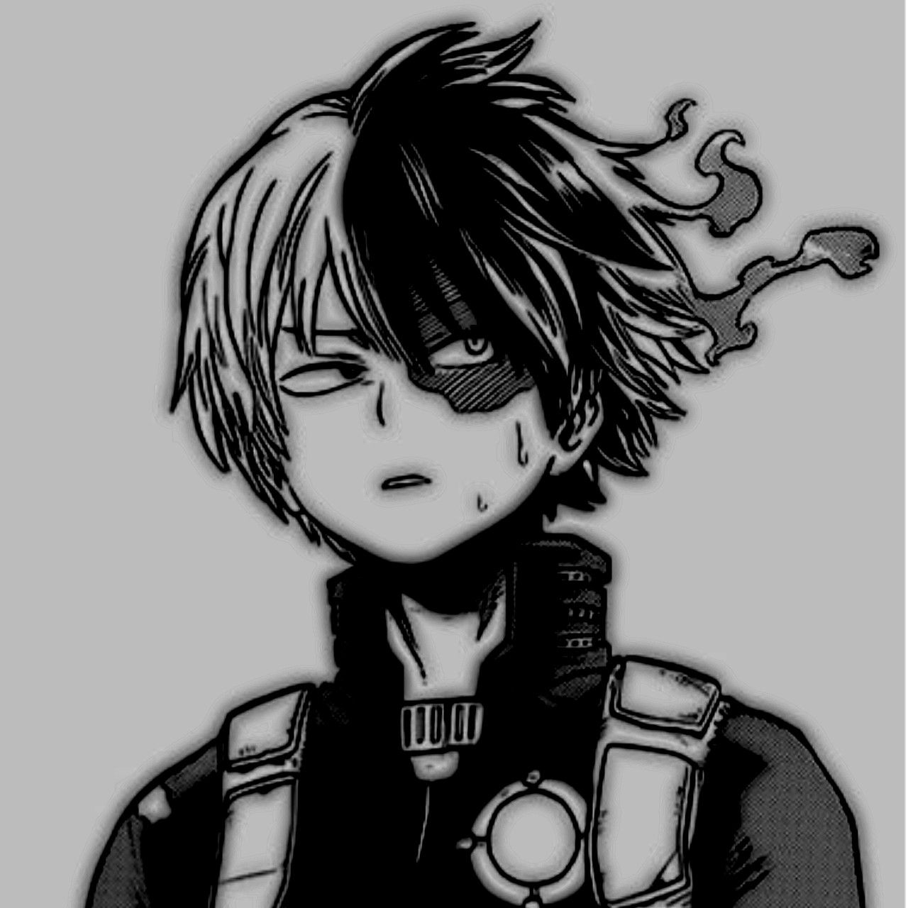 anh anime shoto todoroki