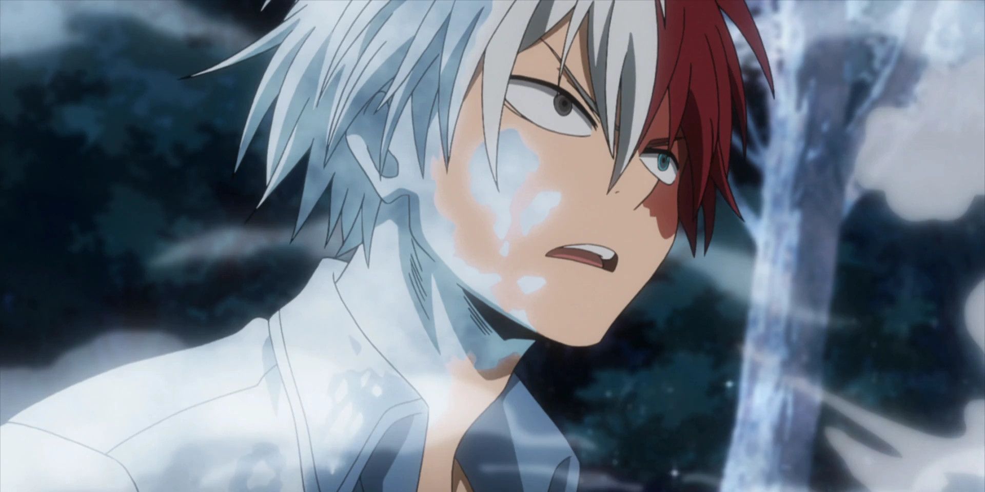 anh anime shoto todoroki