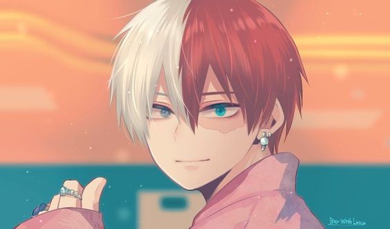 anh anime shoto todoroki