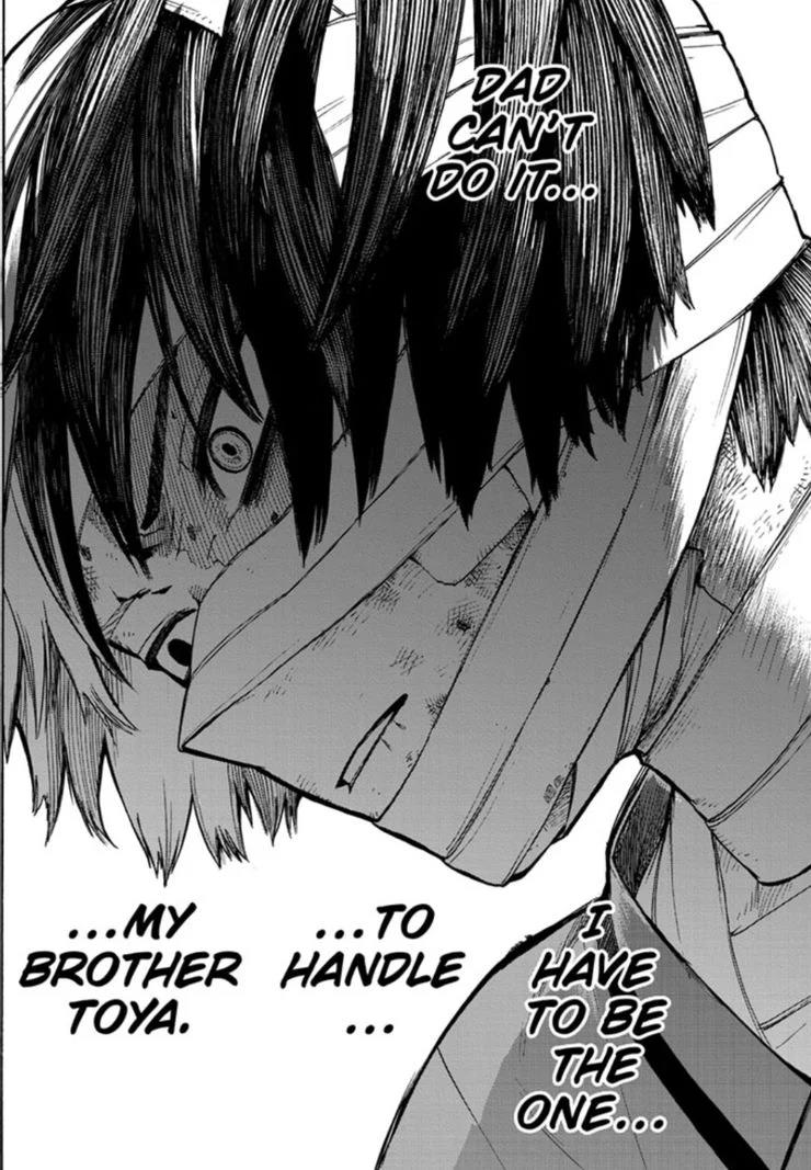 anh anime shoto todoroki