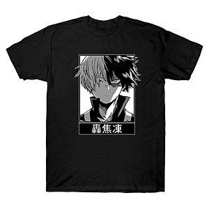 anh anime shoto todoroki
