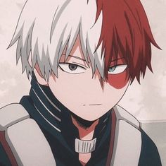 anh anime shoto todoroki