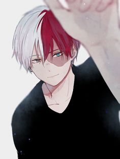anh anime shoto todoroki