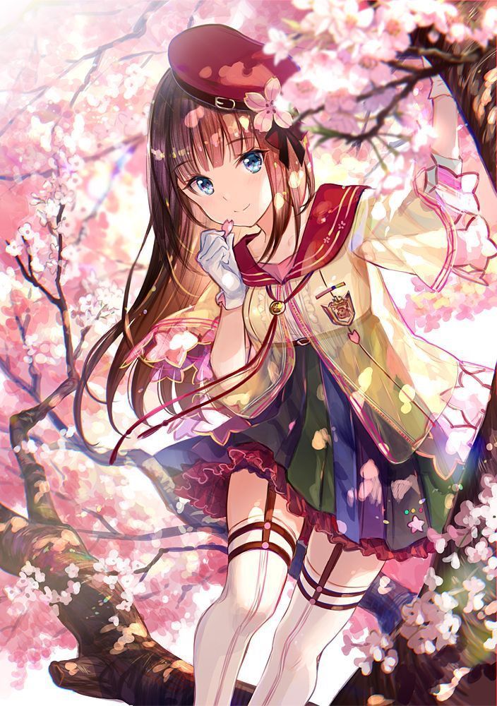 anh anime tet
