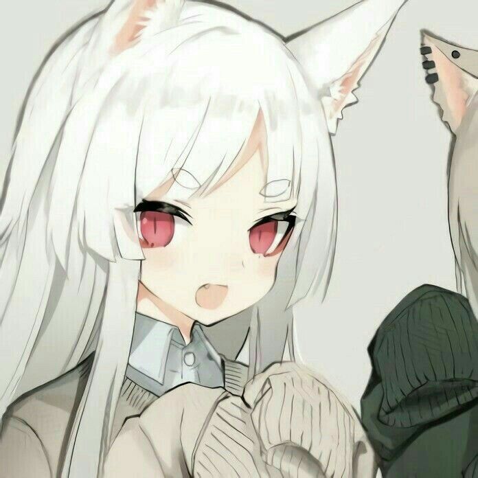 anh bach hop anime