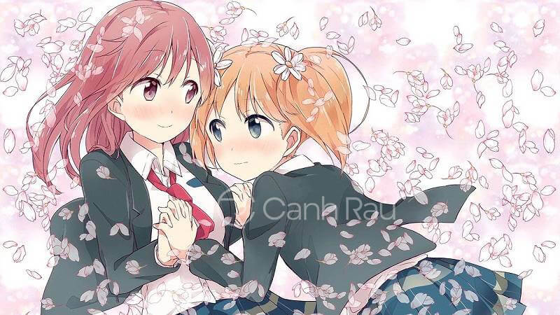 anh bach hop anime anh bach hop anime