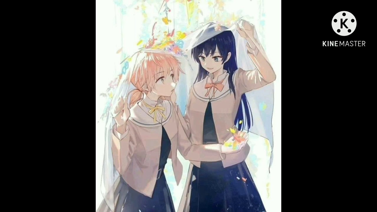 anh bach hop anime