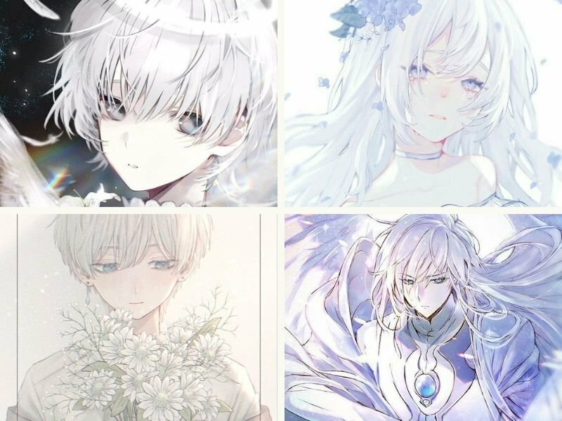 anh bach hop anime