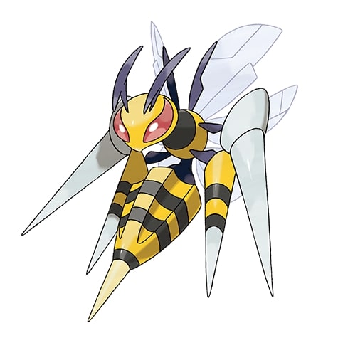 anh beedrill