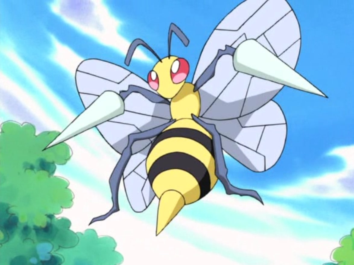 anh beedrill anh beedrill