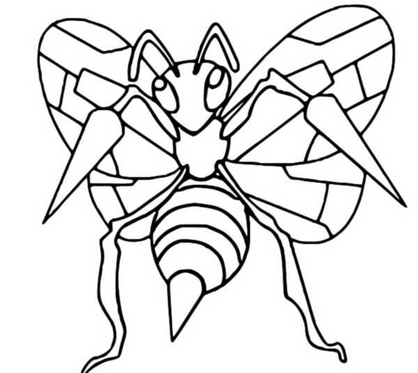 anh beedrill