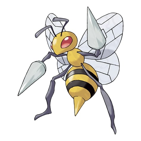 anh beedrill anh beedrill