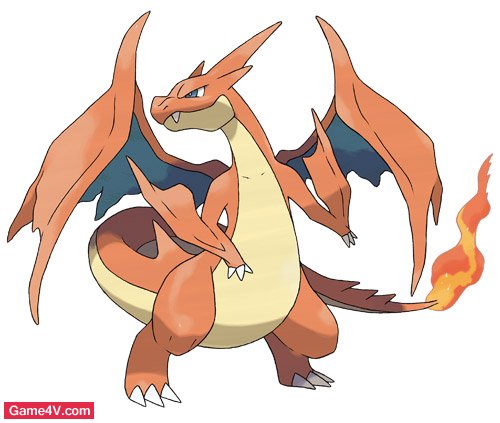 anh charizard