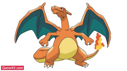 anh charizard