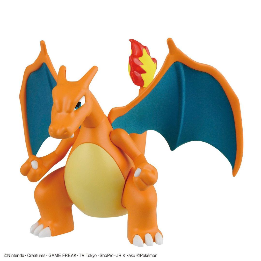 anh charizard