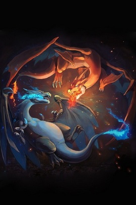 anh charizard